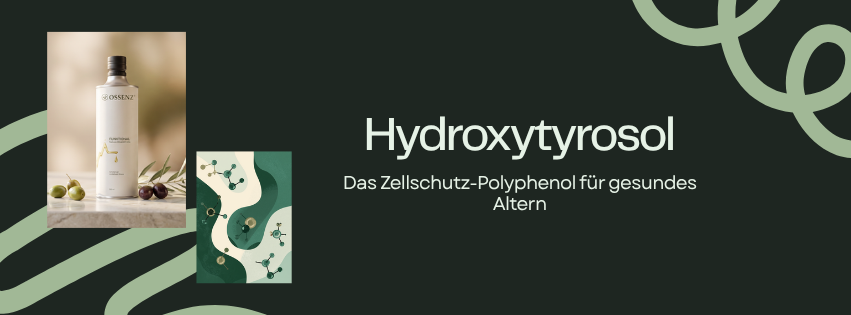 Titelbild zum Artikel Hydroxytyrosol: Zellschutz für gesundes Altern, mit echtem Ossenz-Produktfoto, Molekülgrafik und ruhiger Wellness-Ästhetik ohne Kochkontext
