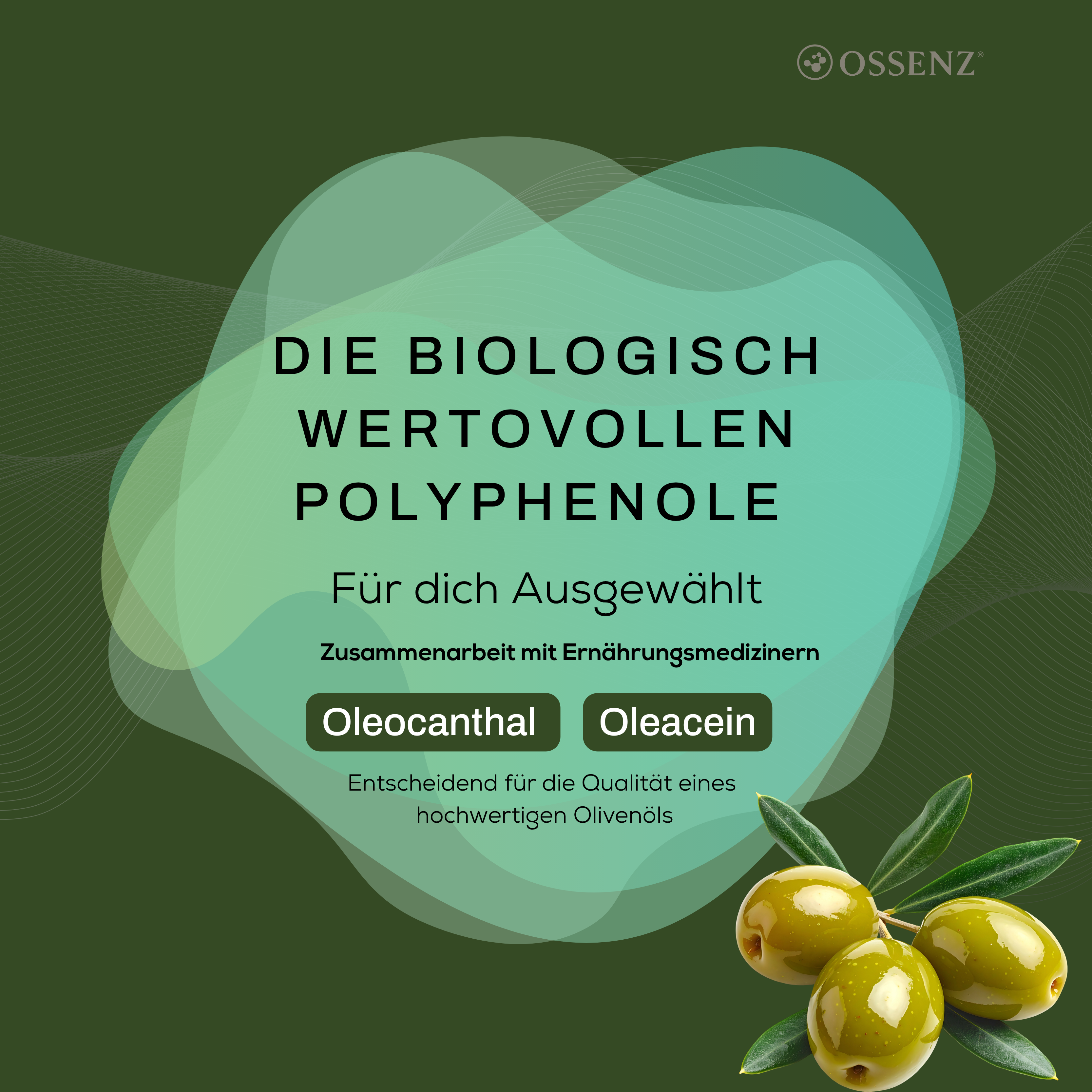 Funktionales Olivenöl für Ihre Gesundheit
