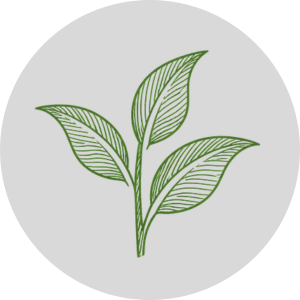 Natürliches Antioxidanz